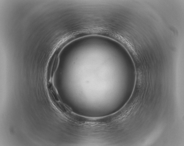 X0000116590582200912101541