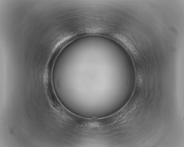 X0000116590583200912101541