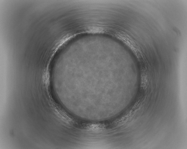 X0000116590584200912101541