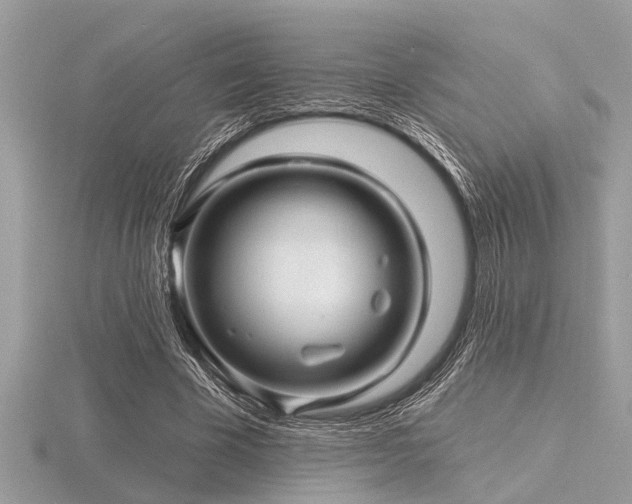 X0000116590585200912101541