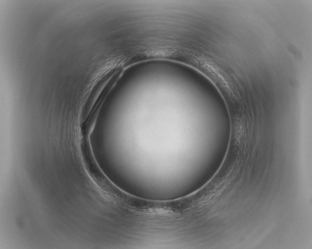 X0000116590586200912101541