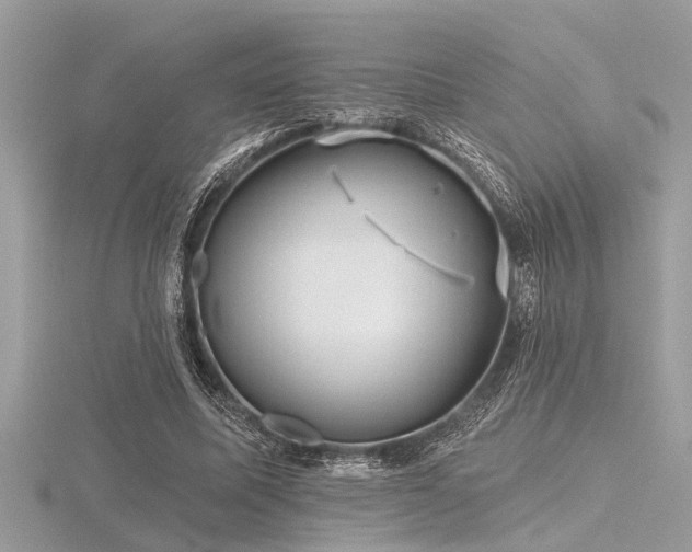 X0000116590587200912101541