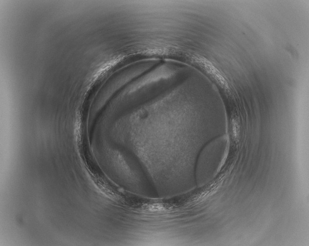 X0000116590588200912101541