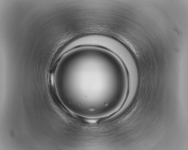 X0000116590589200912101541