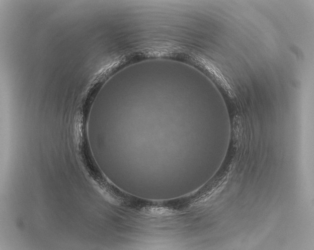 X0000116590590200912101541