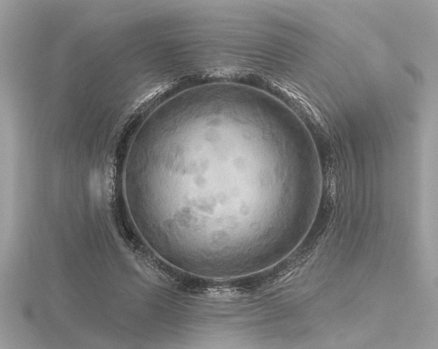 X0000116590591200912101541