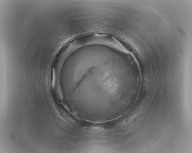 X0000116590592200912101541