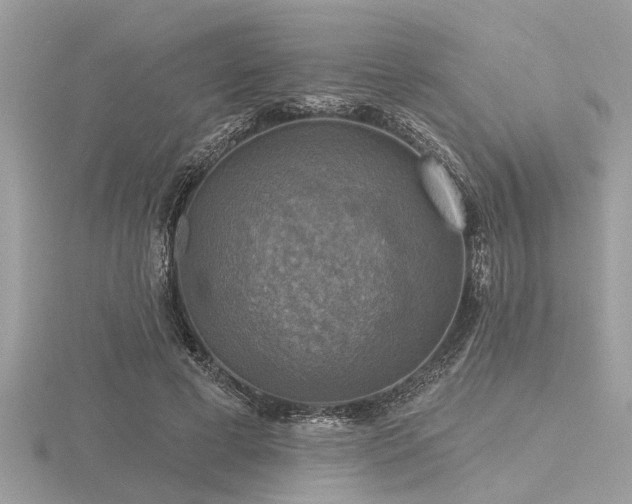 X0000116590593200912101541