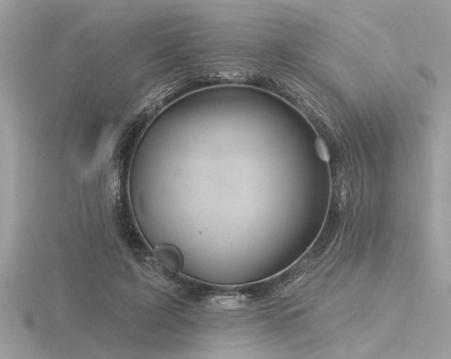 X0000116590595200912101541