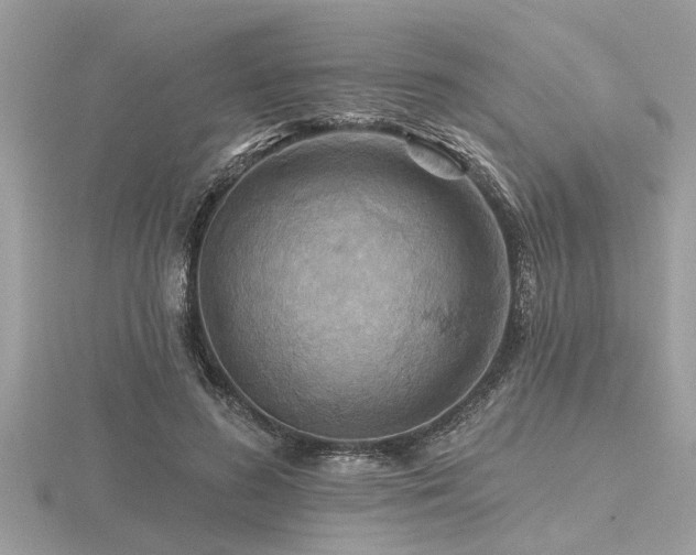 X0000116590596200912101541