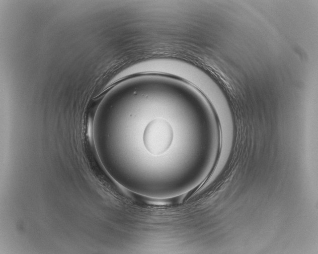 X0000116590597200912101541