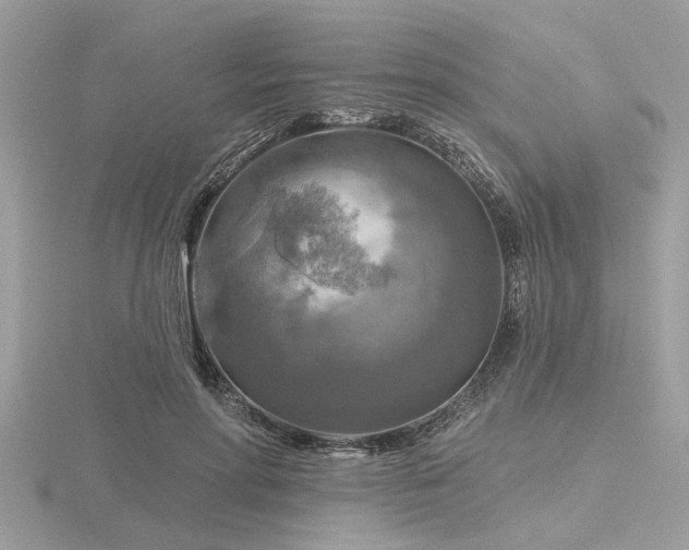 X0000116590598200912101541