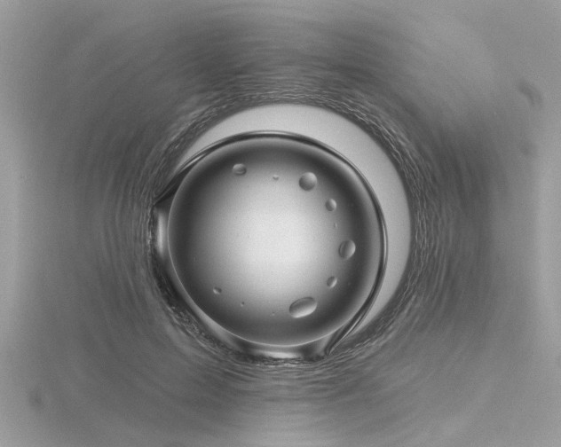 X0000116590599200912101541