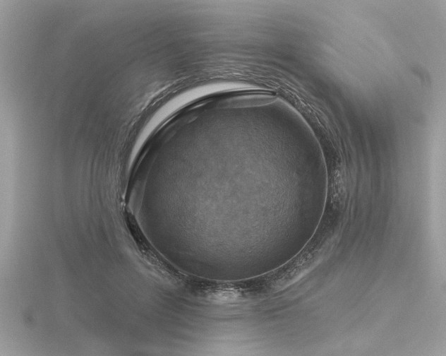 X0000116590600200912101541