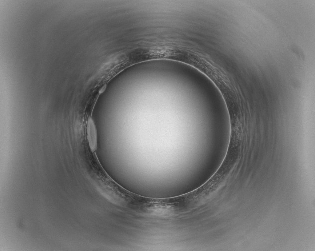 X0000116590601200912101541