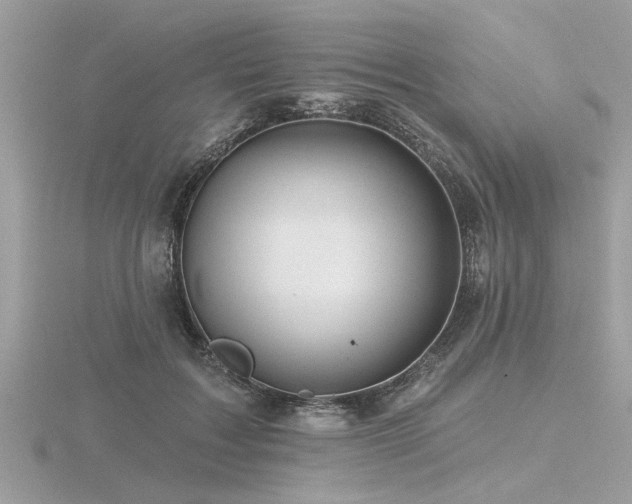 X0000116590603200912101541