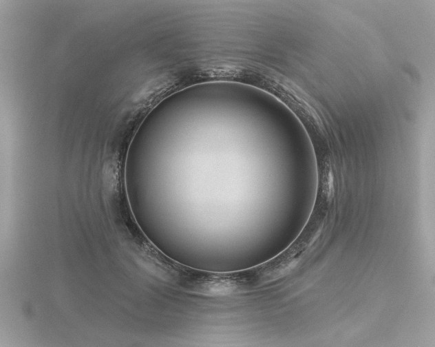 X0000116590604200912101541