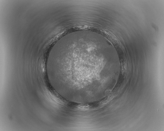 X0000116590606200912101541