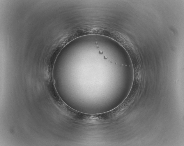 X0000116590607200912101541