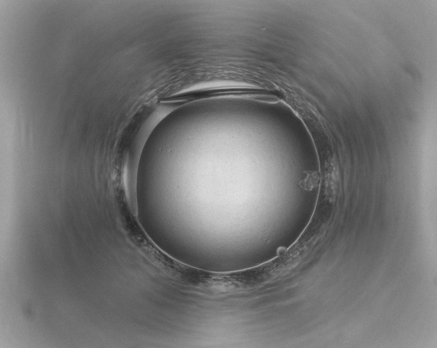 X0000116590608200912101541