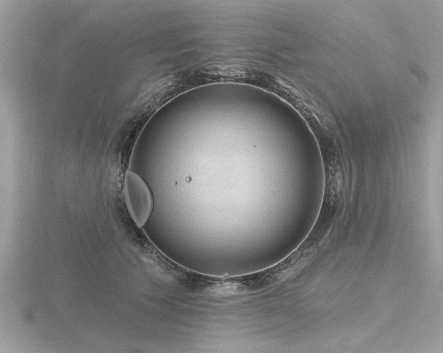 X0000116590609200912101541