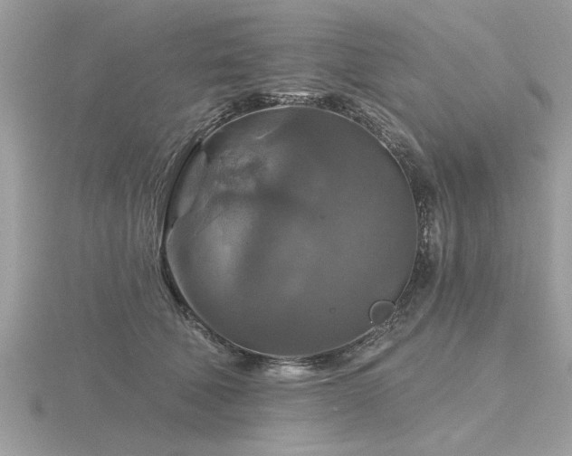 X0000116590610200912101541