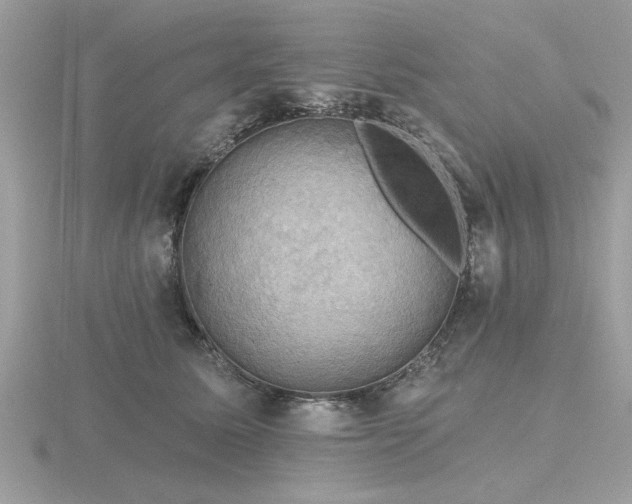 X0000116590611200912101541