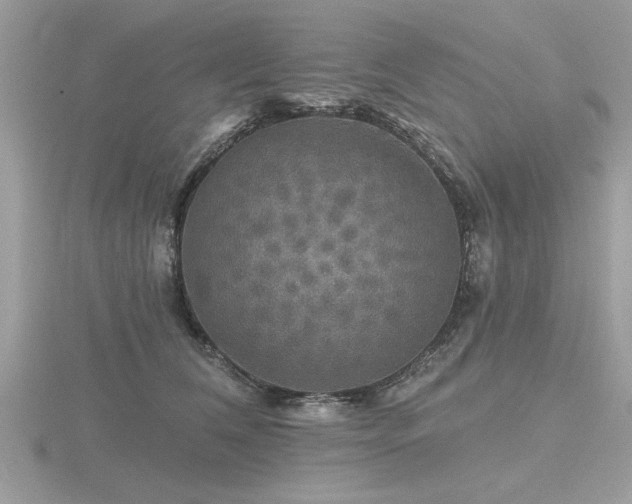 X0000116590612200912101541