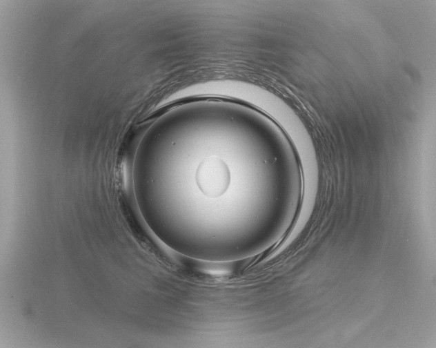 X0000116590613200912101541