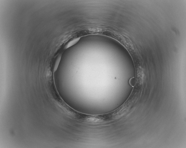 X0000116590614200912101541