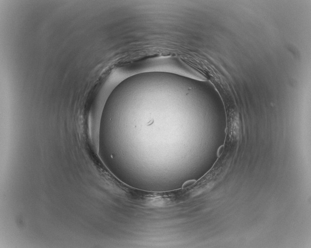 X0000116590616200912101541