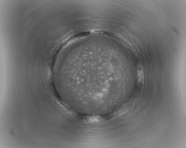 X0000116590618200912101541