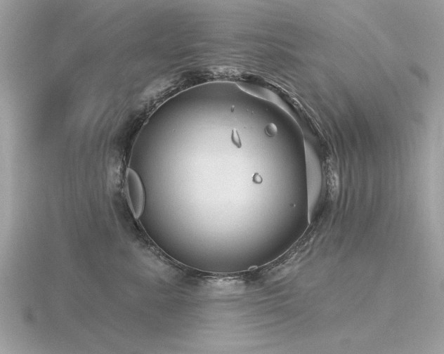 X0000116590619200912101541