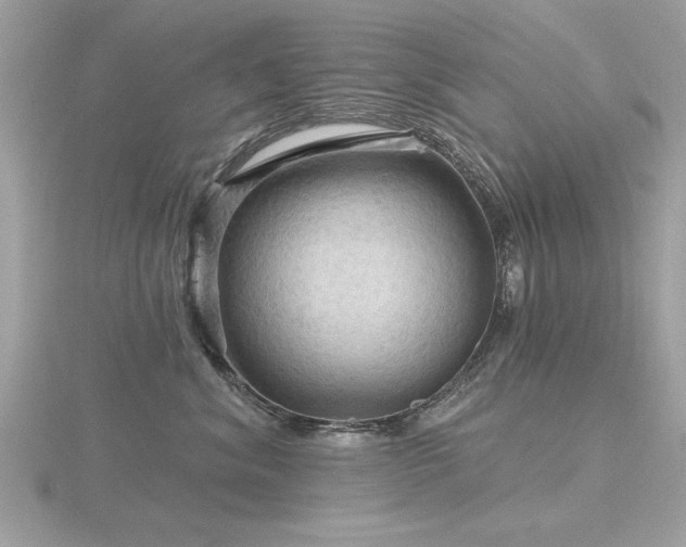 X0000116590620200912101541