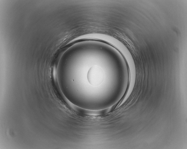 X0000116590621200912101541