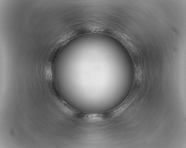 X0000116590622200912101541