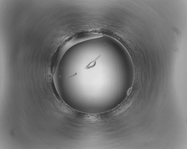 X0000116590624200912101540