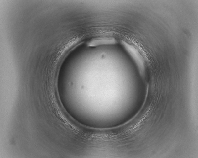 X0000116590625200912101540