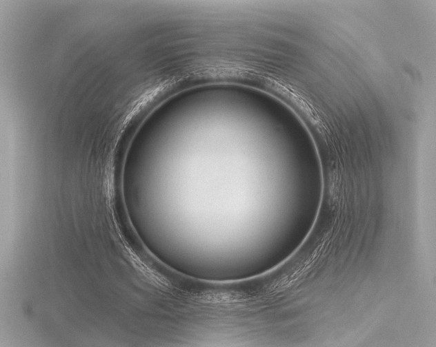 X0000116590629200912101540