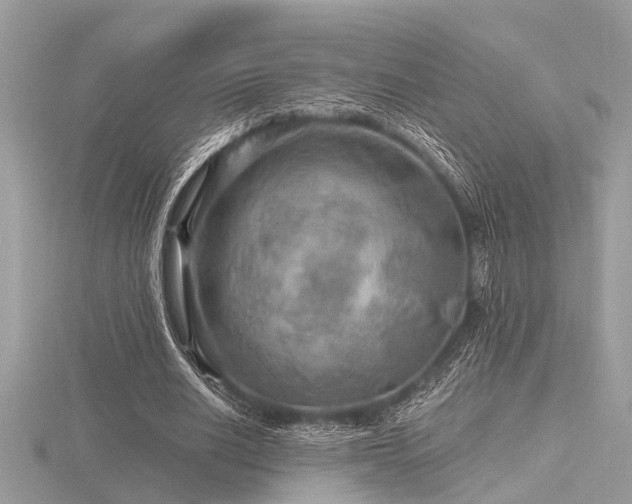 X0000116590630200912101540