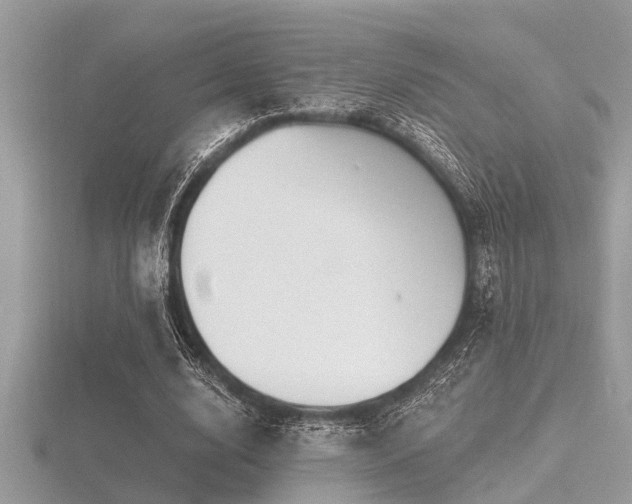 X0000116590632200912101540