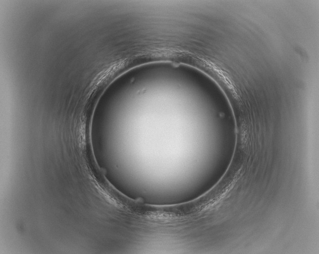 X0000116590633200912101540