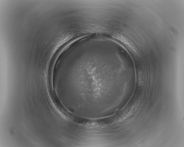 X0000116590634200912101540