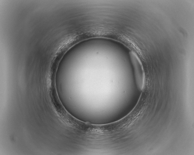 X0000116590635200912101540