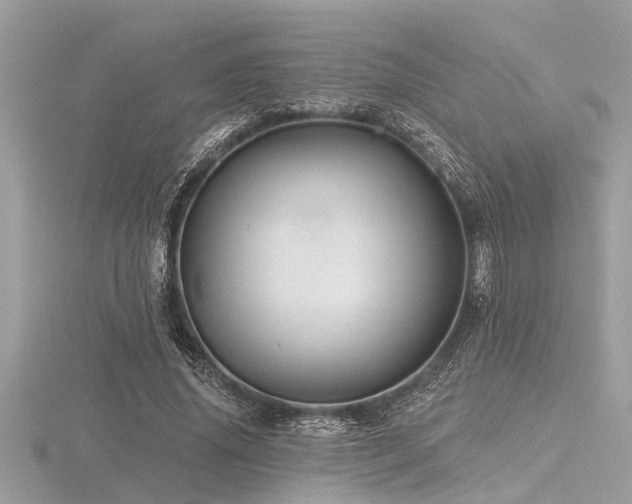 X0000116590636200912101540