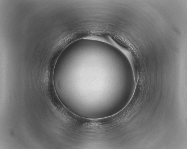 X0000116590639200912101540