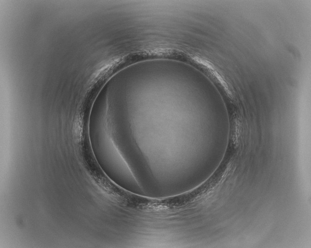 X0000116590640200912101540