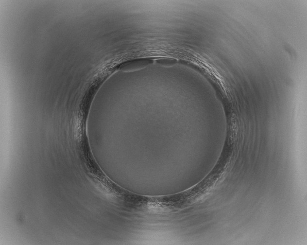 X0000116590641200912101540