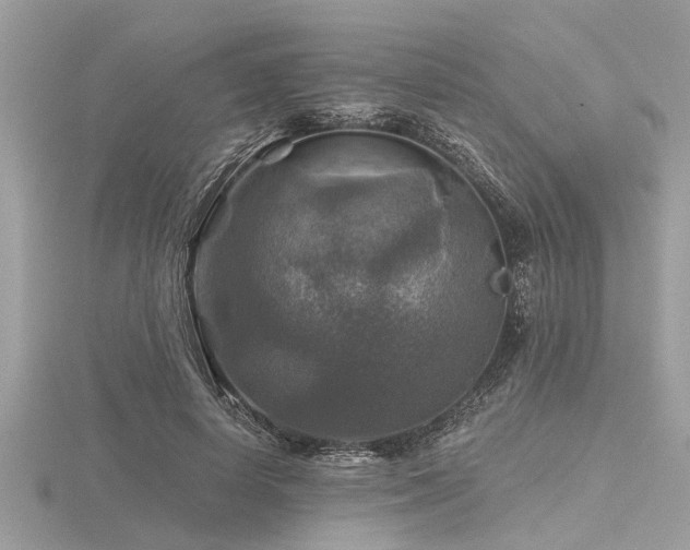 X0000116590642200912101540