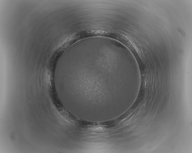 X0000116590643200912101540